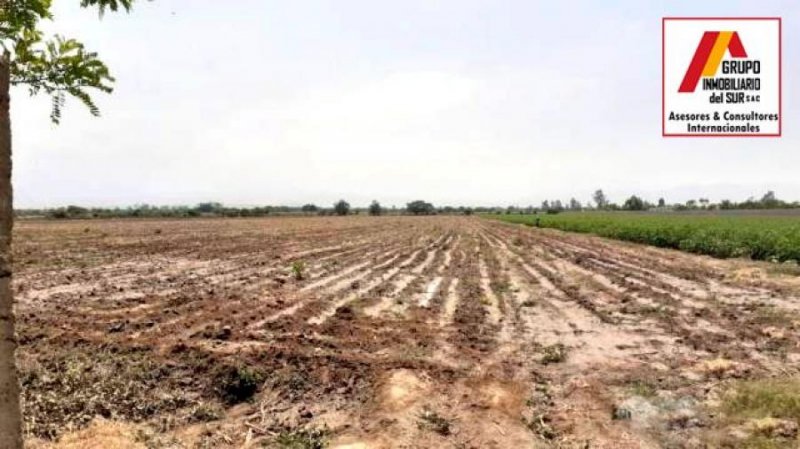 Terreno en Venta en  El Carmen, Chincha