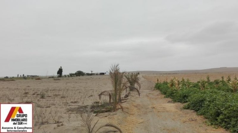 Foto Terreno en Venta en Villacuri, Ica, Ica - 6000 hectareas - U$D 16.800.000 - TEV23116 - BienesOnLine