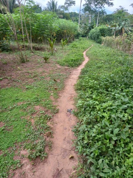 Terreno en Venta en  Tarapoto, San Martin