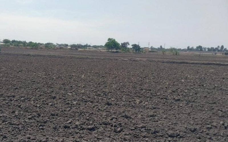 Agricola en Venta en  Ferreñafe, Ferrenafe