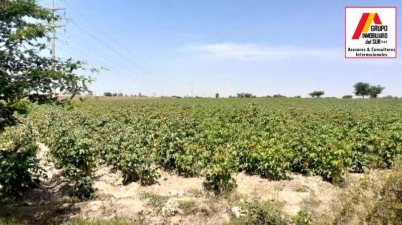 Agricola en Venta en  Independencia, Pisco