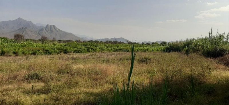 Agricola en Venta en Nueva Arica Nueva Arica, Chiclayo