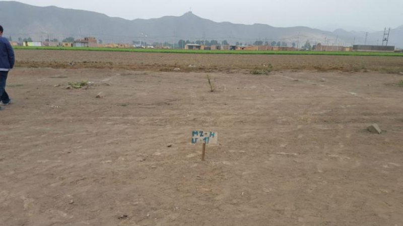 Foto Terreno en Venta en CARABAYLLO, Carabayllo, Lima - U$D 35.000 - TEV19664 - BienesOnLine
