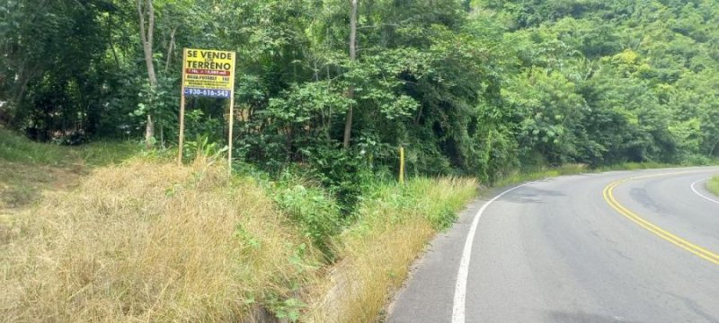 Terreno en Venta en MACEDA RUMIZAPA, San Martin