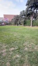 Venta de terreno en zona industrial Puente Piedra Shangrila 2,750 m2