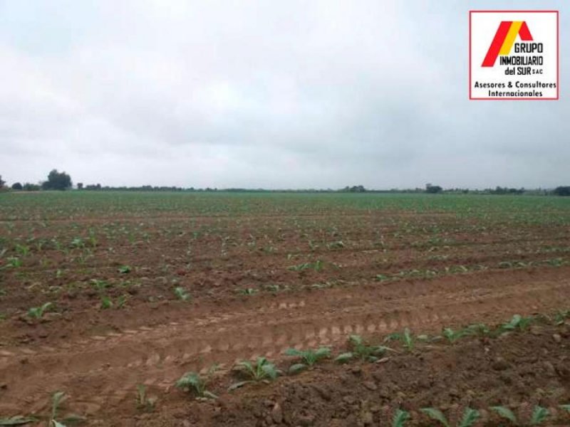 Terreno en Venta en  Chincha Baja, Chincha