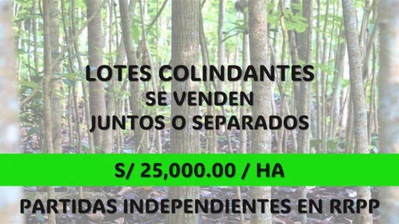 VENTA DE TERRENOS SELVA PERUANA YURIMAGUAS 25mil soles x ha