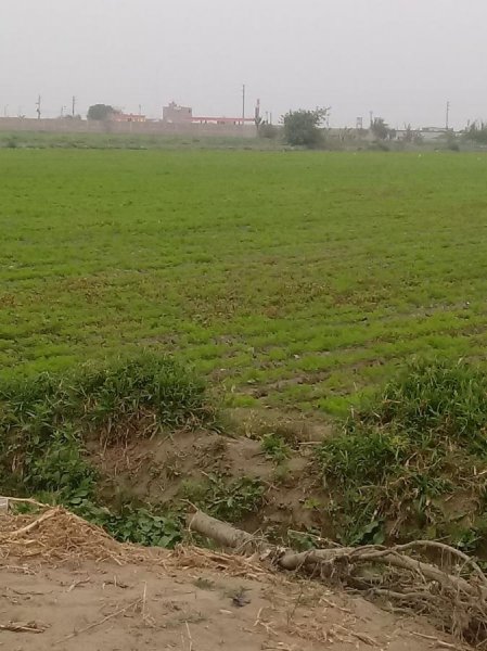 Terreno en Venta en  Chancay, Huaral