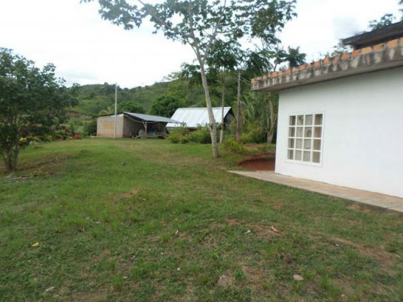 Foto Casa en Venta en Tarapoto, San Martin - 12 hectareas - U$D 2.750.000 - CAV16982 - BienesOnLine
